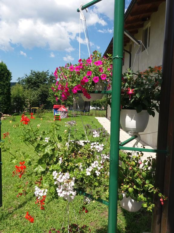 Casa Ariana Villa Curtea De Arges Exterior photo